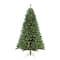 9ft. Pre-Lit Northern Fir Artificial Christmas Tree, Clear Lights